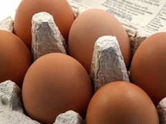 Яйца оказались вредным продуктом